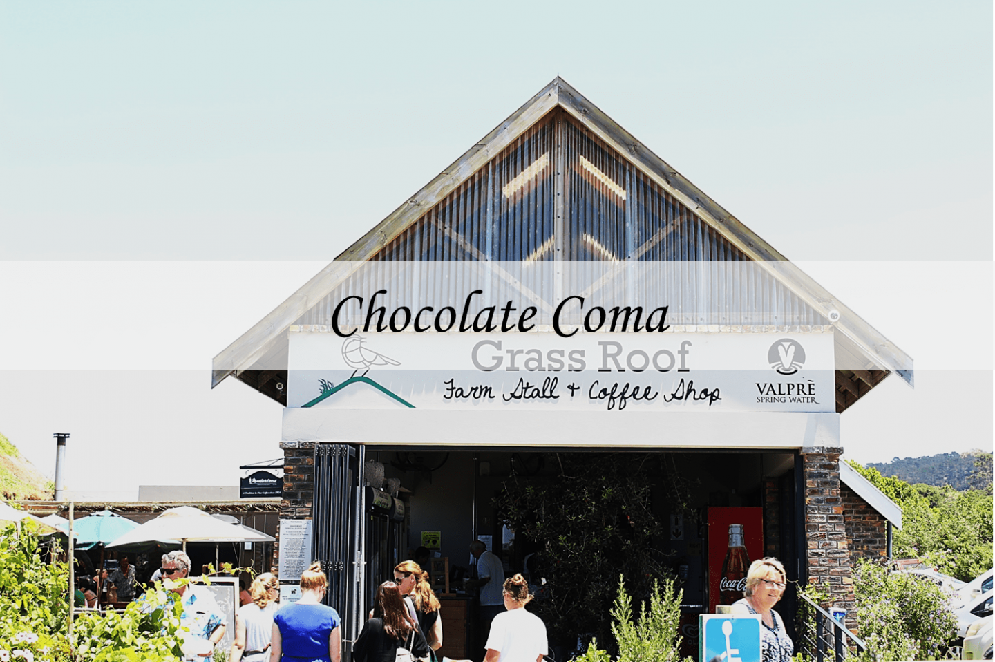 chocolate coma